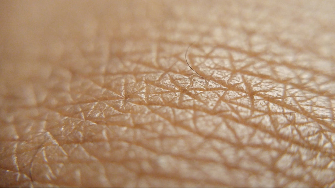 Le microbiome cutané : Ce monde invisible qui protège la peau de votre enfant